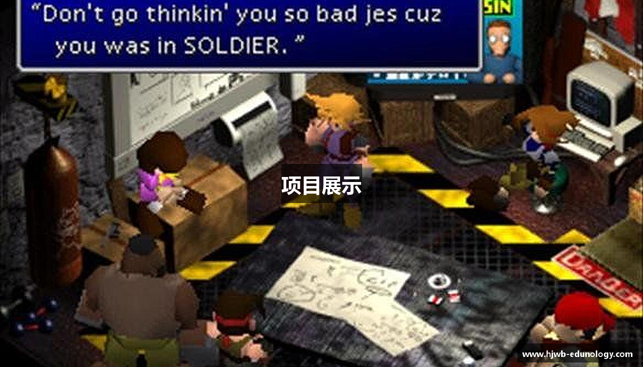 项目展示